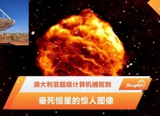 垂死恒星