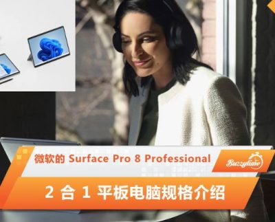 Surface Pro 8 Professional