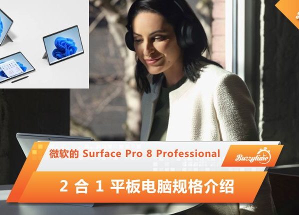 Surface Pro 8 Professional