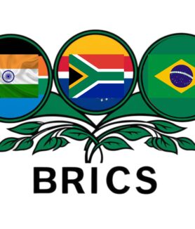 Brics Country